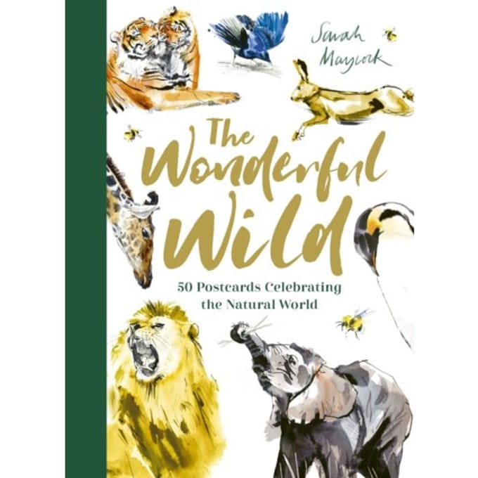 The Wonderful Wild - sarah maycock