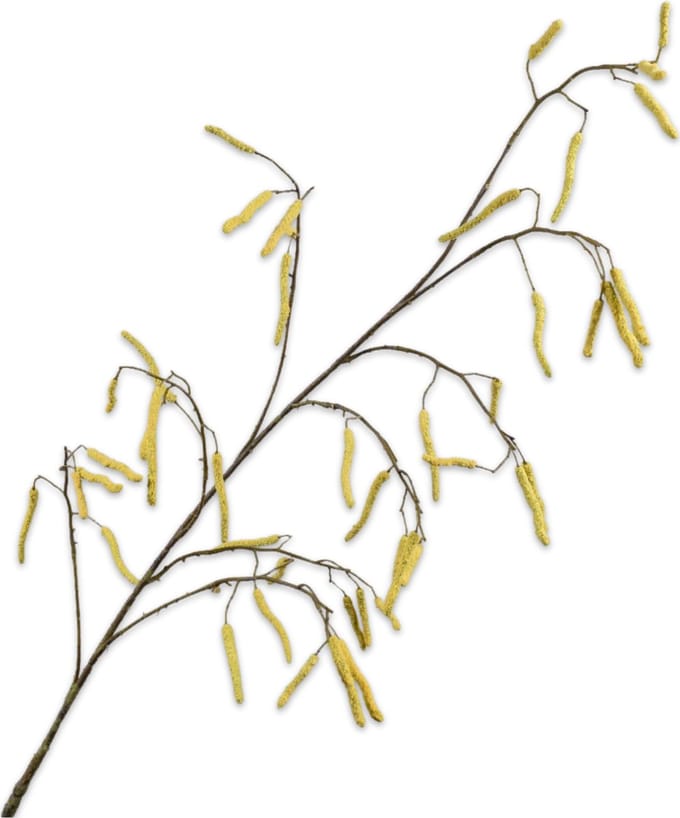 Silk-ka - Kunsttak - hazelaar - geel - H35 cm