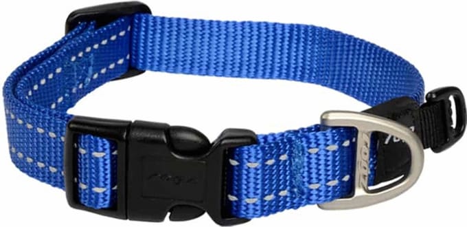 Rogz For Dogs Nitelife Halsband - Blauw - 11 mm x 20-32 cm