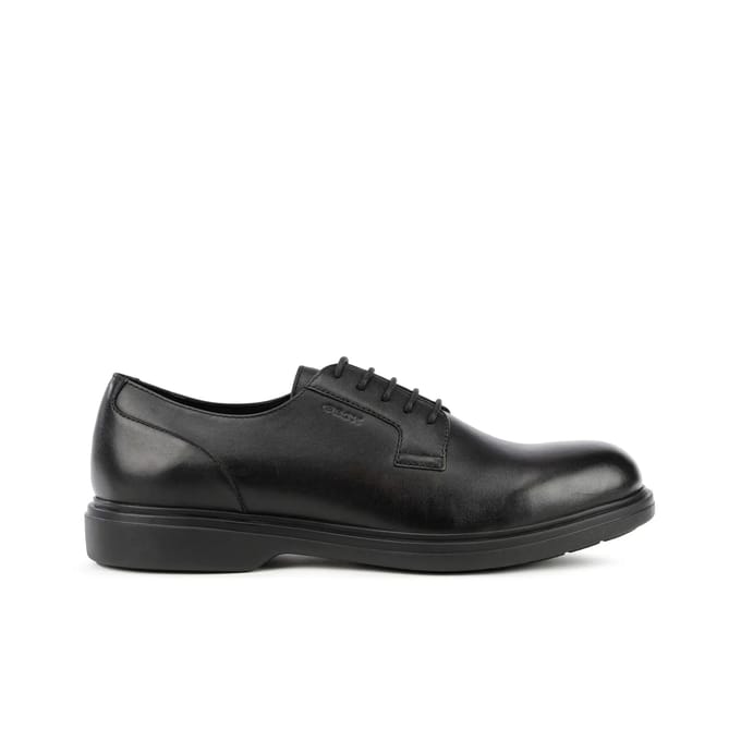 Derbie Geox Ottavio