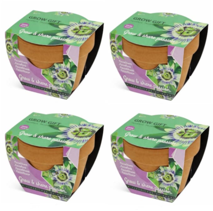 Passiebloem - Grow Gift - 4 Minipotjes voor kweken van Passiebloem