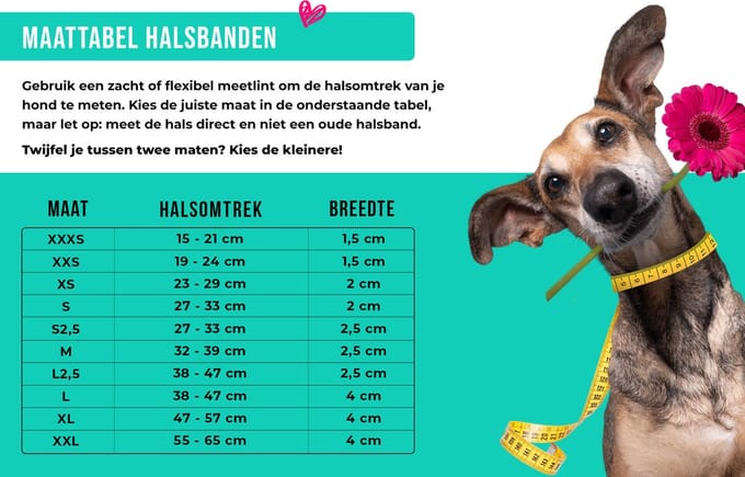 Sky Hondenhalsband XS (Halsomvang 25-29 cm / 2 cm)