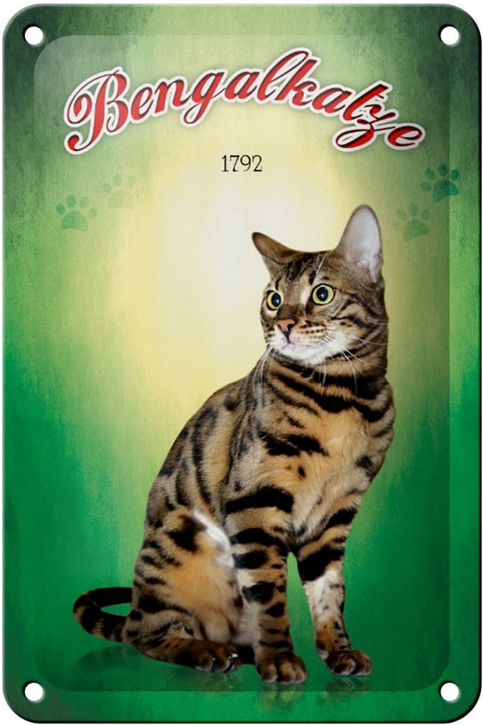 Blechschild Katze 12x18cm Bengalkatze 1792 Wanddeko