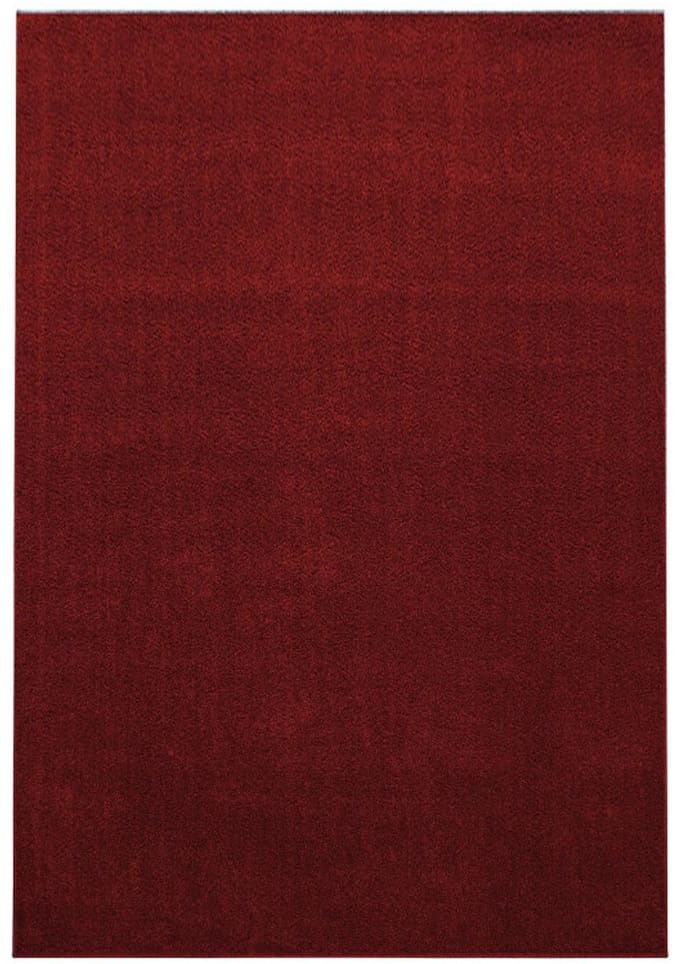 Ata Vloerkleed – Rood – Laagpolig met Vilt Onderkant