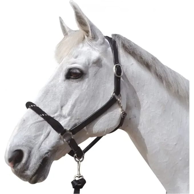 Touwhalster voor paarden Canter