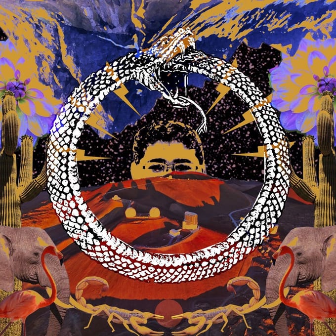 Stone House On Fire - Neverending Cycle (LP)
