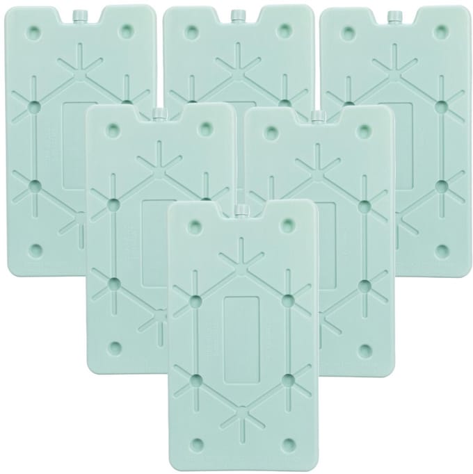 Excellent Houseware Koelelement Ice Pack - 6x - mintgroen - polyethyleen - 350 gr - 24 x 14 x 1.5 cm
