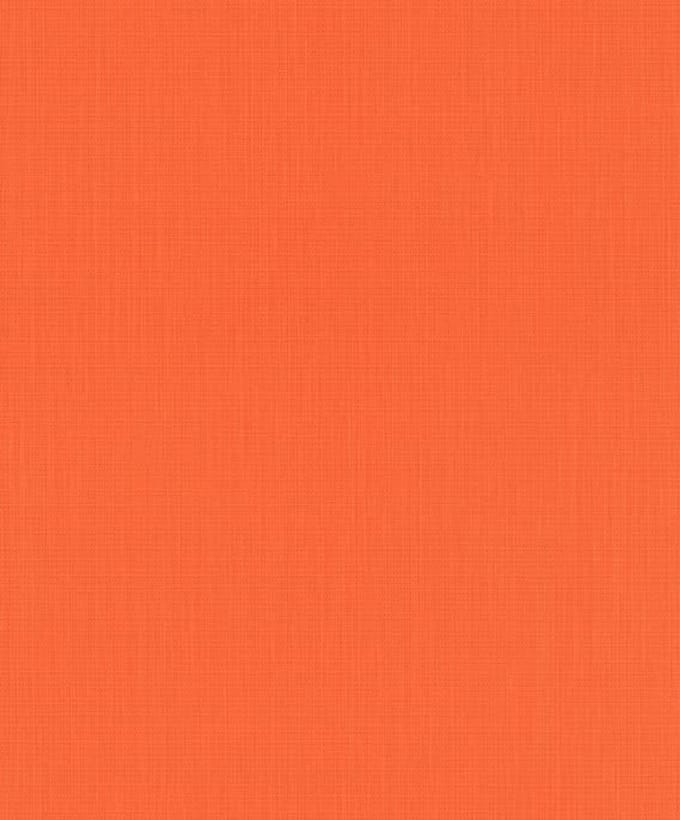 ORANJE BEHANG RACH BARBARA BECKER 527360