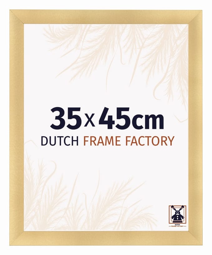 Fotolijst 35x45 cm - MDF - Goud Mat - Praag