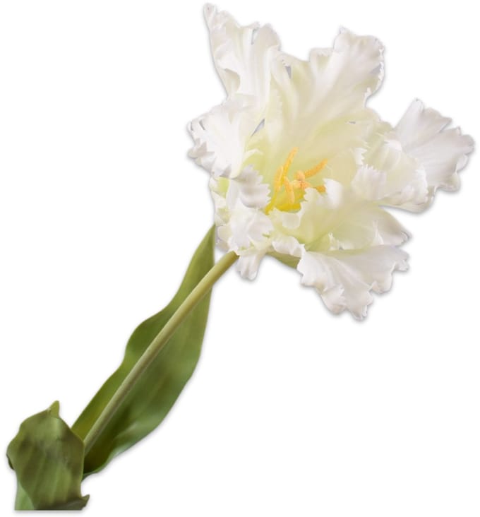 Silk-ka Kunstbloem-Zijden Bloem Tulp Steel Wit-Geel 71 cm