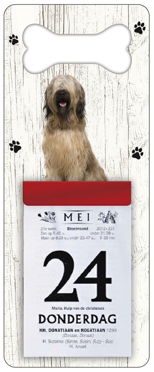 Scheurkalender 2027 Hond: Briard
