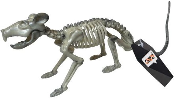 Skelet Rat - Halloween - Feestjecreatief