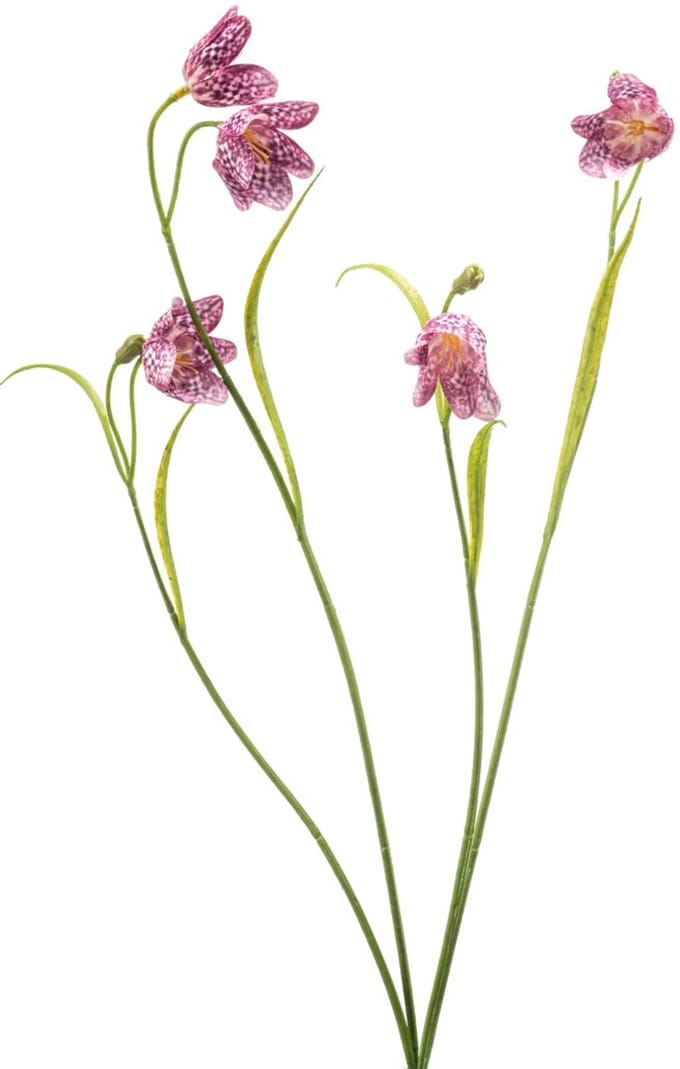 Emerald - Kunstbloem Kievitsbloem 52cm beauty - Kunstplant voor binnen