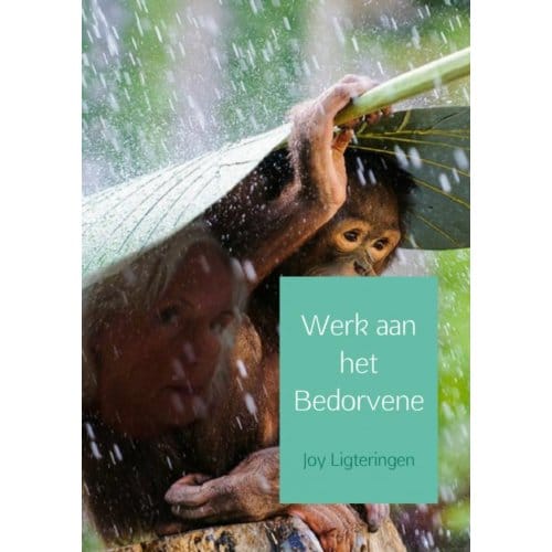 Werk Aan Het Bedorvene - Joy Ligteringen