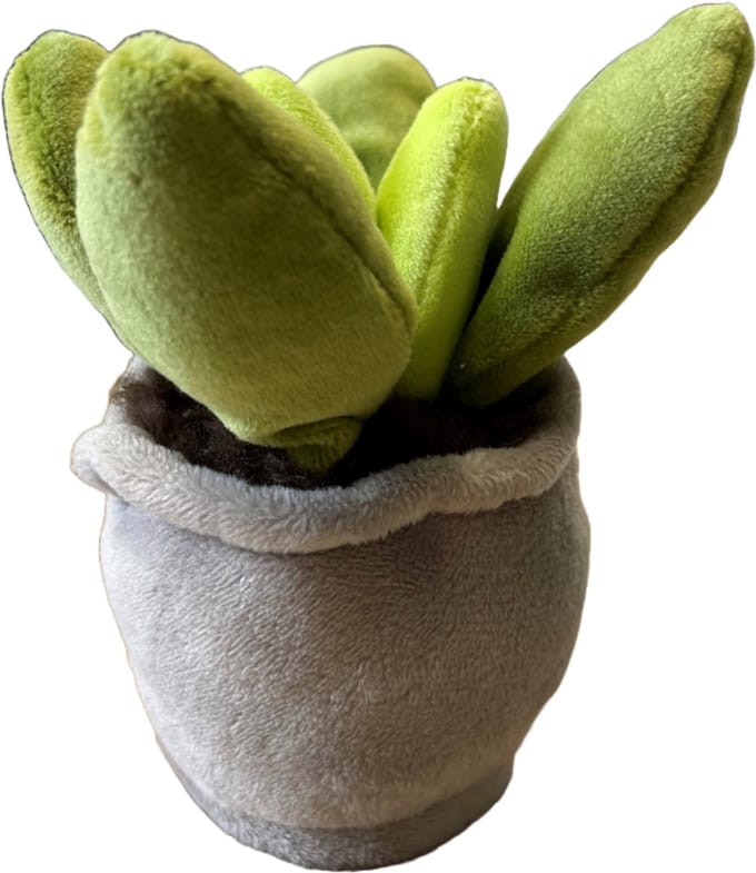 Take Me Home Plants Plush S 12-17cm 3asst.