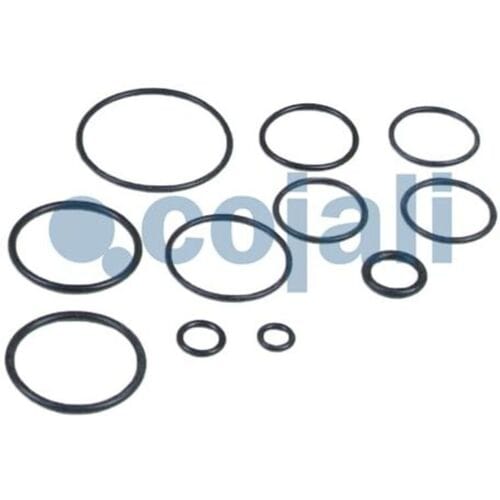 Reparatieset, koppelingsbekrachtiger COJALI 6032117