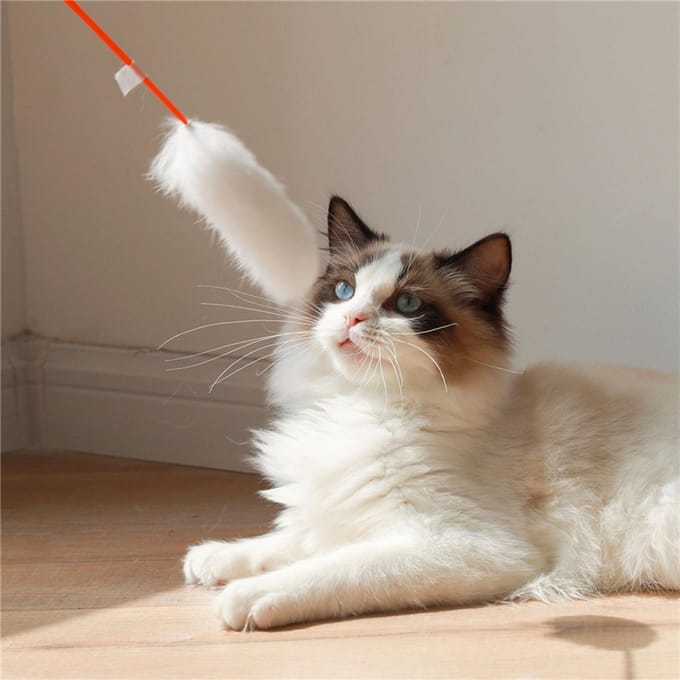 Baguette en peluche pour chat résistante aux morsures, respectueuse de l'environnement, fabriquée à la main, douce et flexible, jouets pour chat blanc