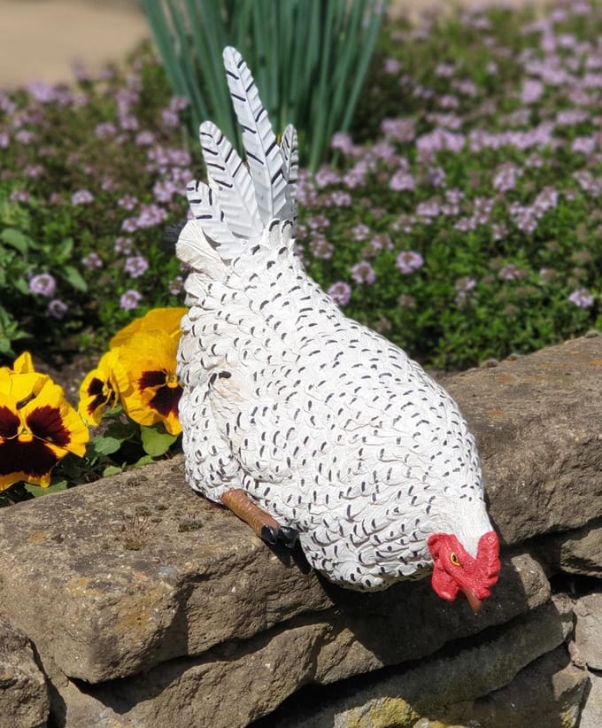 Zittend Kip beeld wit 24cm kippen tuinbeeld op rand - Kip decoratie| GerichteKeuze