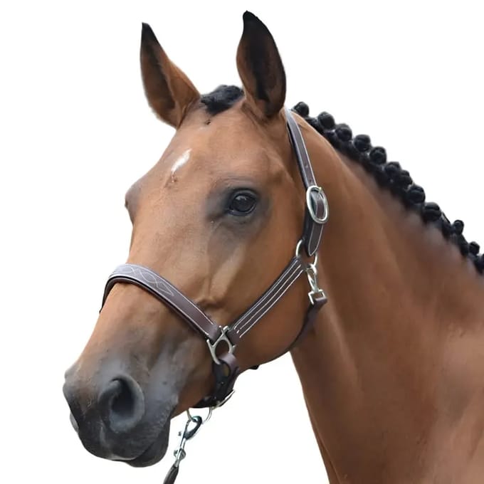 Halster voor paarden Jump'In Fancy