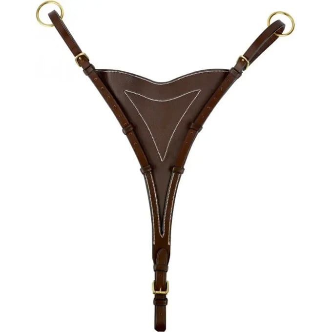 Volledig martingale schacht Eric Thomas Pro