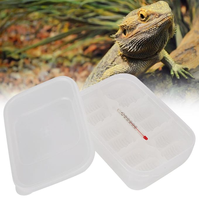12 Vakken Kleine Reptielen Incubator Broeddoos Professioneel Klimhuisdier Hagedis Fokken white