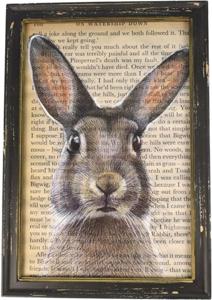 Lijstje hout zwart Haas, 34x23,5cm