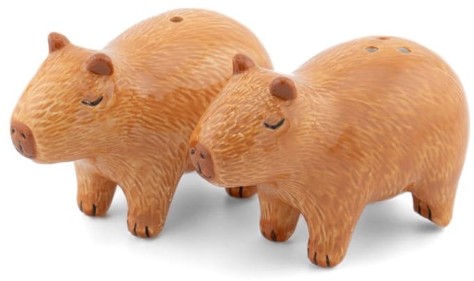 Peper en zoutstel Capybara - Sass & Belle