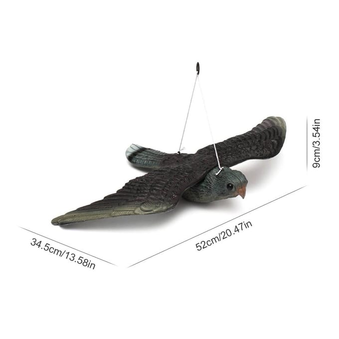 Appât de chasse avec des oiseaux à ailes black