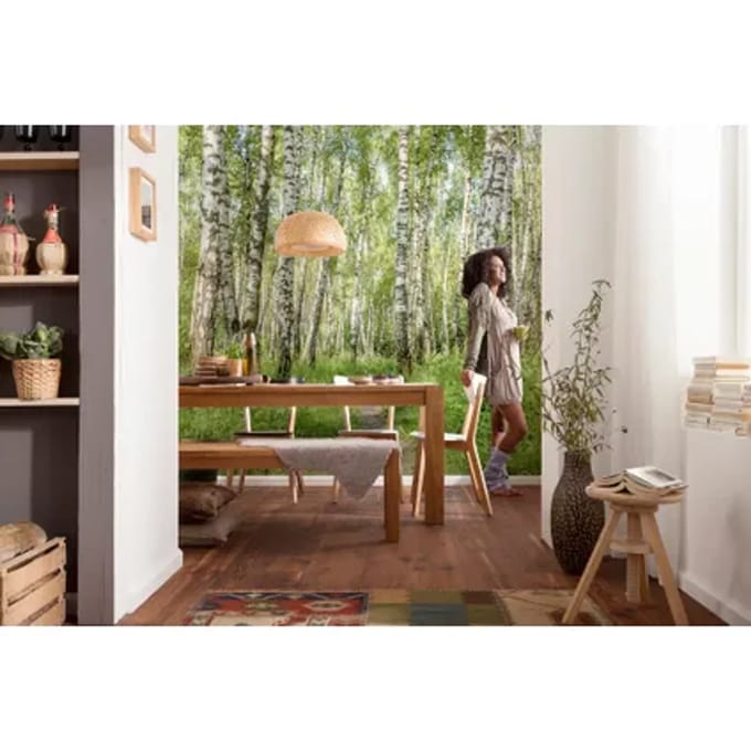 Komar Fotobehang Berkenbos - Groen - 2,50m X 300cm