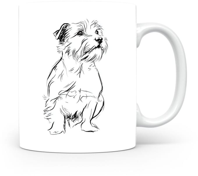 Beker Norfolk Terrier