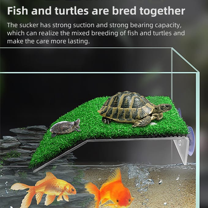 Turtle Ramp Turtle Basking Platform Tortoise Ramp Reptielenladder Rustterras voor aquariumvissen M Size green