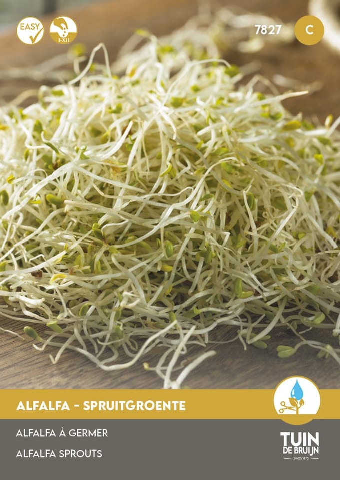 Tuin de Bruijn® zaden - Alfalfa Spruitgroente - kiemgroente - sprouting