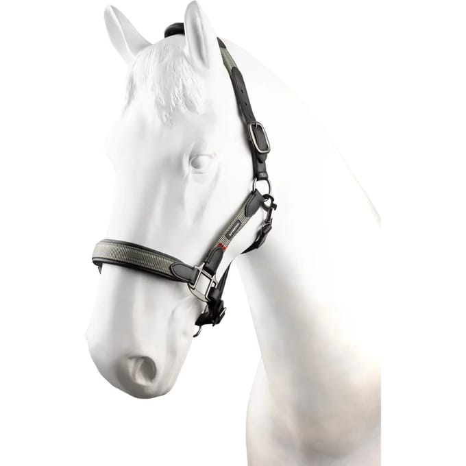 Leren halster voor paarden B Vertigo Lennox
