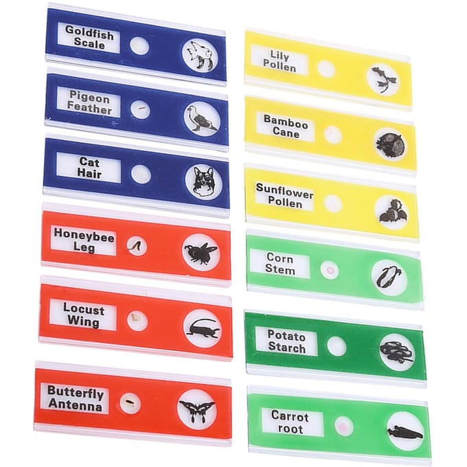 12pcs Plastic Prepared Microscope Slides Animals Insects Flowers Plants  Mix color blue