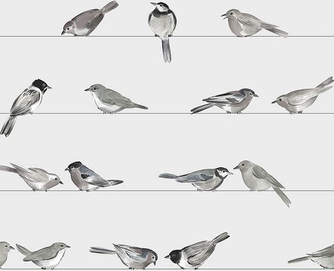 Lunch servetten Birds - PPD - 33x33 cm