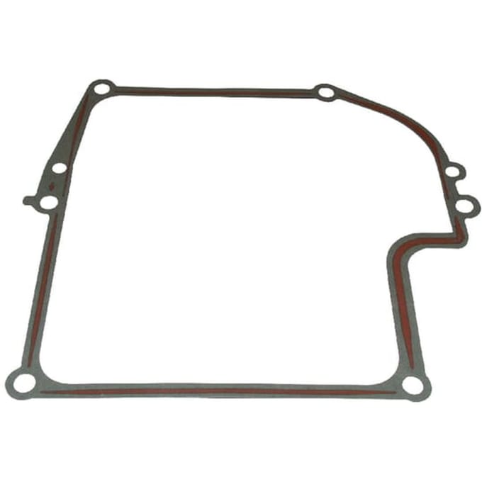 Briggs & stratton carterpakking (4165)