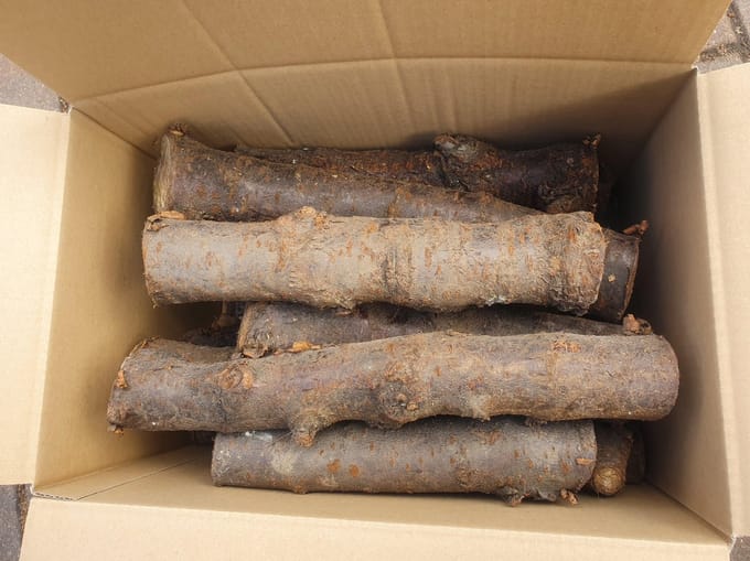 Appel rookhout 10 kg