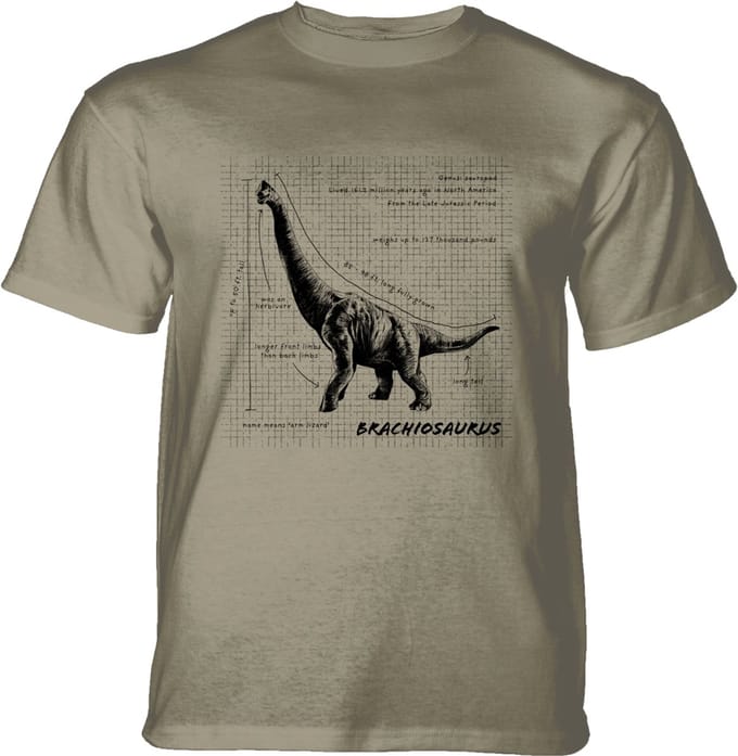 T-shirt Brachiosaurus Fact Sheet Beige S