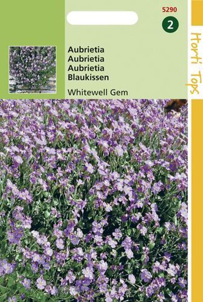 Hortitops Zaden - Aubrietia Hybrida Grfl.Whitewell Gem