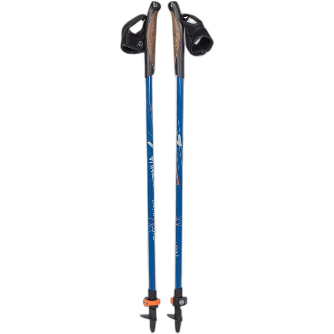 Ternua Walking Stok 1 Eenheid Zilver 60-130 cm