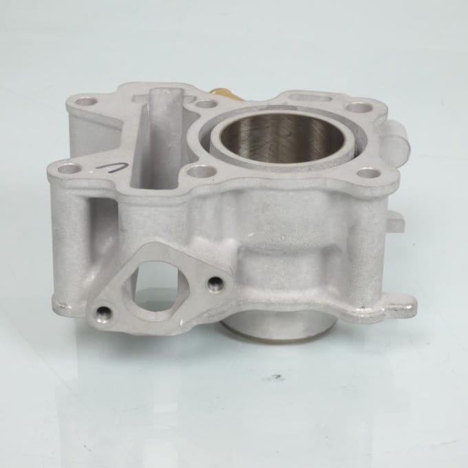 Cylindre Polini pour Scooter Yamaha 50 Neo'S Neuf