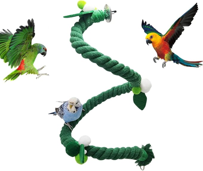 Vogel Klimtouw - Vogel Speelgoed - Volière Verrijking - Flexibel Ontwerp - 100 cm Lengte - Groen