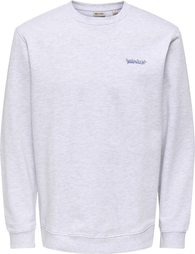 ONLY&SONS - ONSALTA SOCIAL REG CREW NECK - Heren - Sweaters