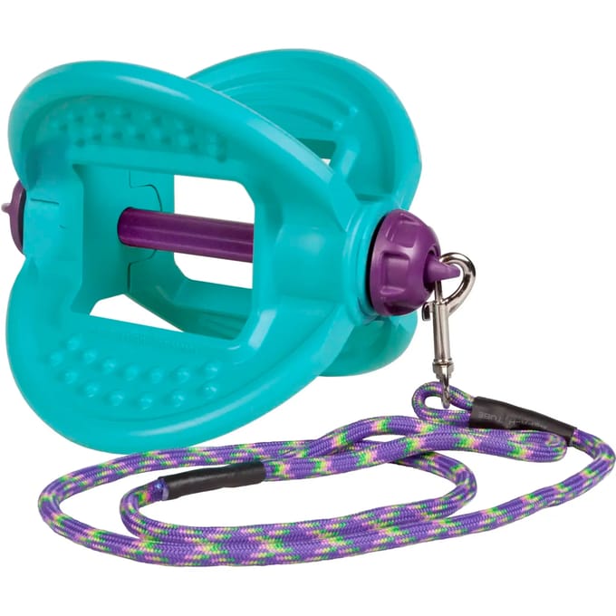 Bizzy Ball - Speelgoed - Liksteenhouder - Aqua
