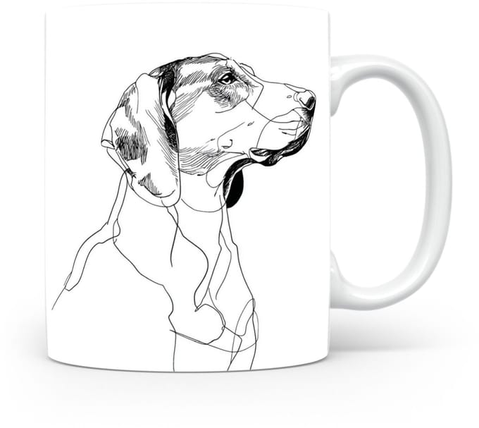 Beker Schillerstövare (Schiller Hound)