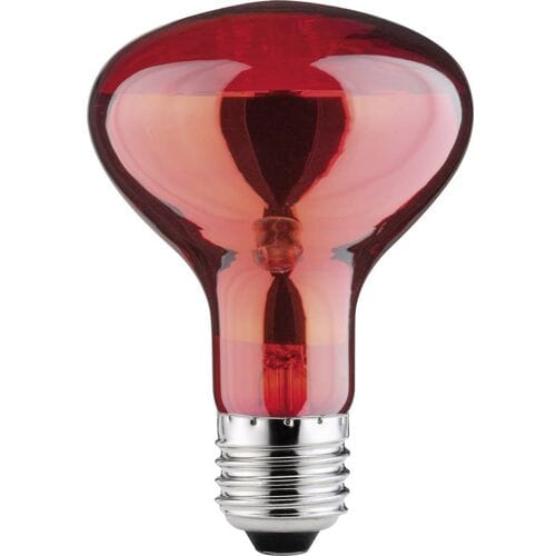 Paulmann Infraroodlamp E27 60 W (Ø x l) 80 mm x 115 mm 230 V 1 stuk(s)