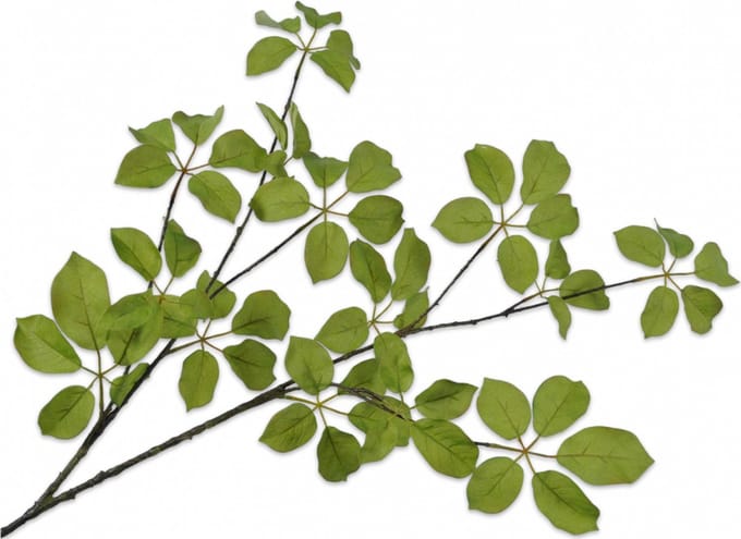 Silk-ka Kunstbloem-Zijden Bloem Gras Tak Groen 120 cm