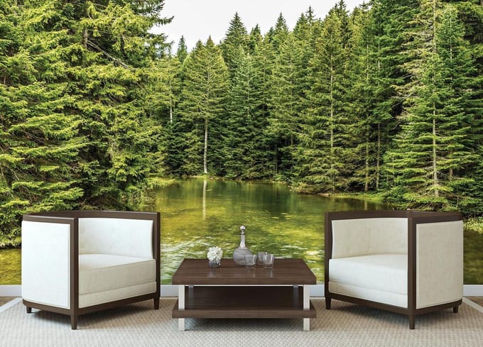 River Forest Nature Photo Wallcovering