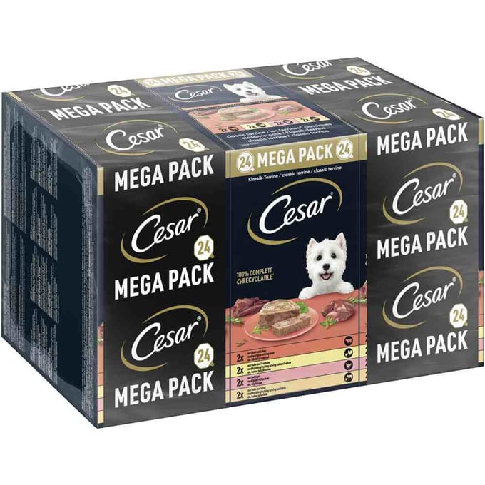 Cesar Hondenvoer - Classic Mix in Paté - Kuipjes - 24x150g
