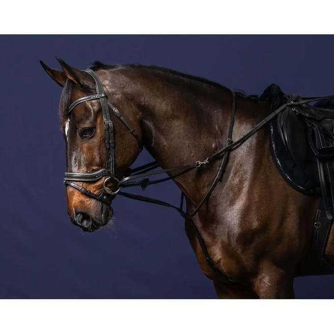 Teugels voor het longeren van paarden Dy'on Howlett
